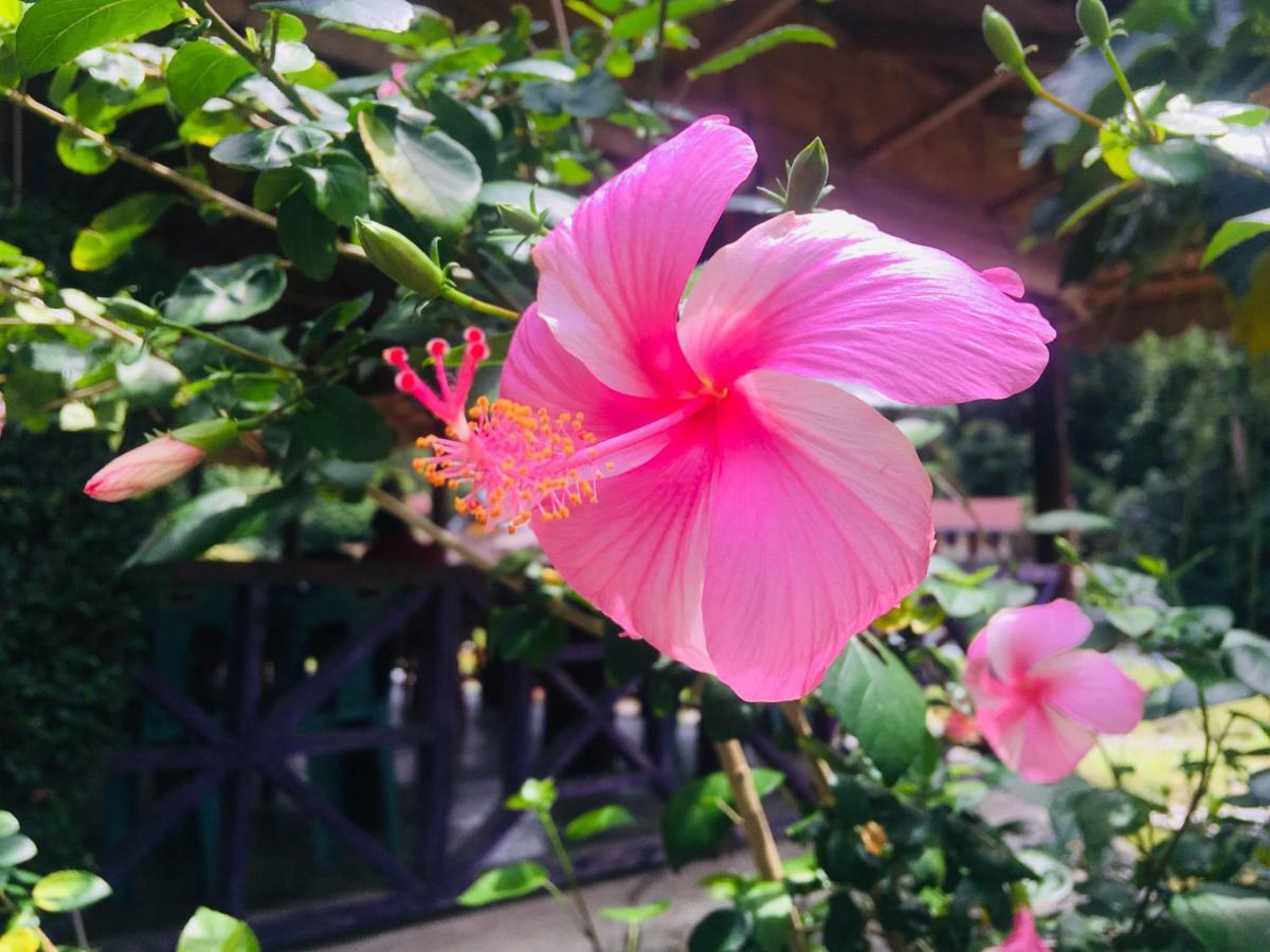 בוקיט לוואנג Sahnan Guest House מראה חיצוני תמונה